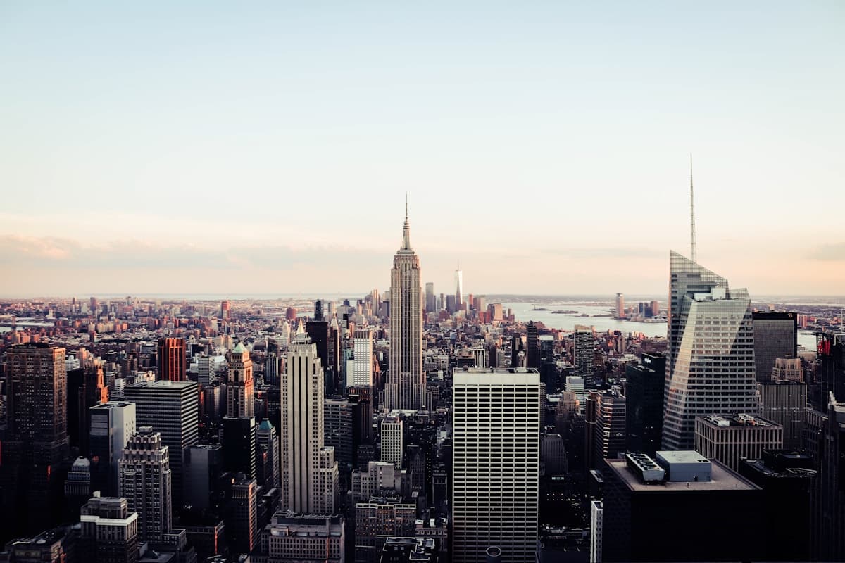 New York City aerial view - Organic Pest Control NYC service area
