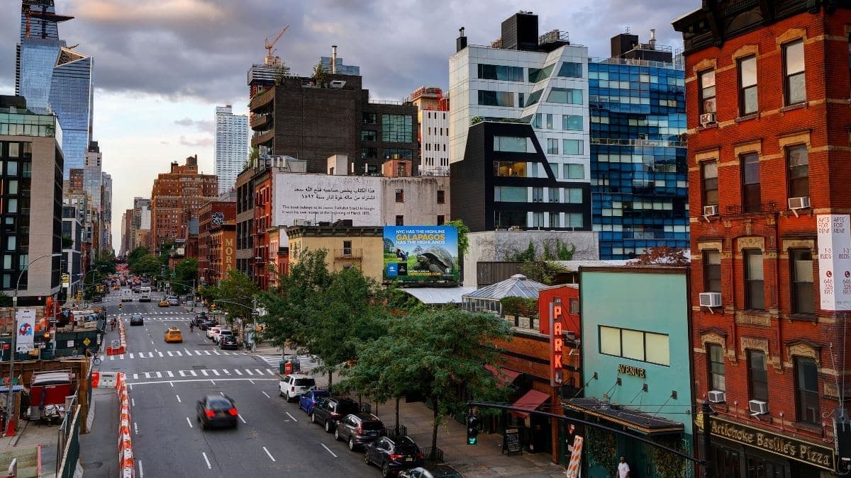 Commercial pest control in NYC - Chelsea neighborhood